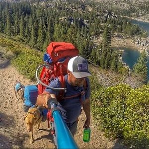 Meet your Posher, Joe